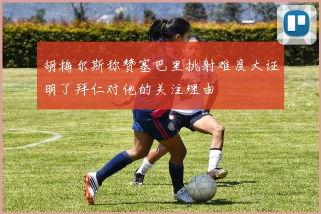 胡梅尔斯称赞塞巴里挑射难度大证明了拜仁对他的关注理由